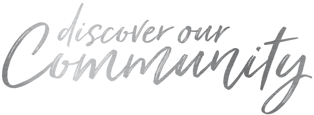 Homepage_Header_3.png