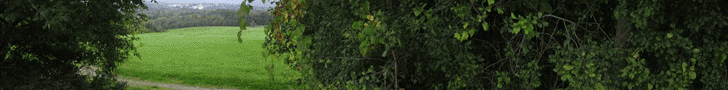high-road-banner-ad-728_100percent.gif