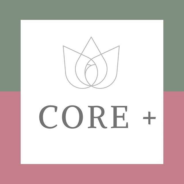 ✨This week is the final push of my CORE+ 30-day EXERCISE CHALLENGE ✨
.
I could not be more proud of this program! Women&rsquo;s lives are TRANSFORMING 😅
.
With a little focused CORE exercise 10 minutes a day, consistently over 30 days BIG CHANGES HA