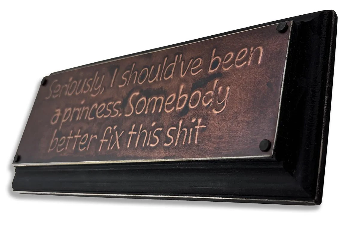 seriously princess fix this shit_3x8_ang1_S.jpg
