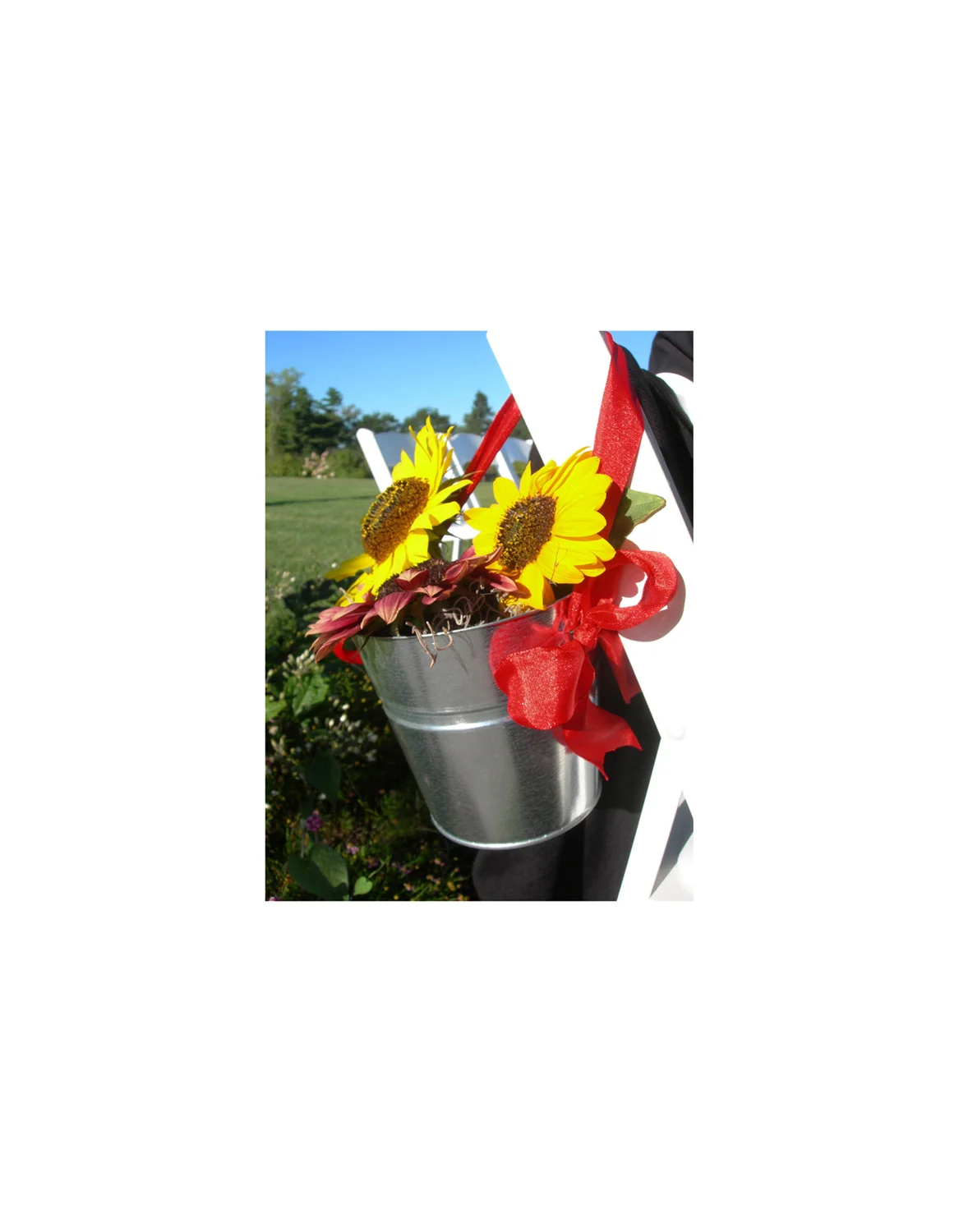 Sunflowers_Bucket.jpg
