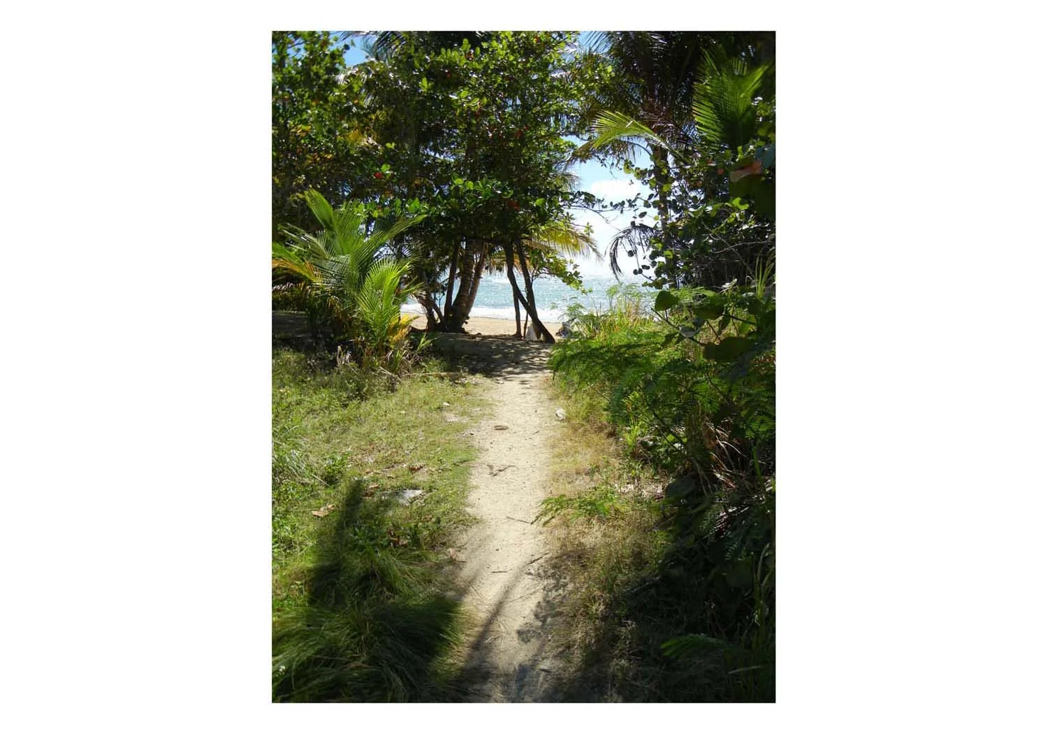 BeachEnterance_PR.jpg