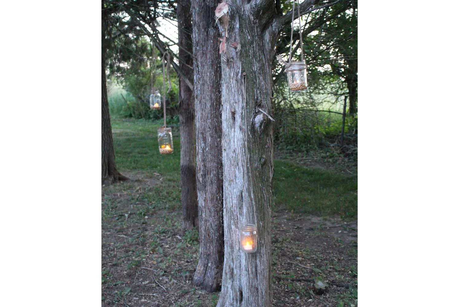 Citronella Candles
