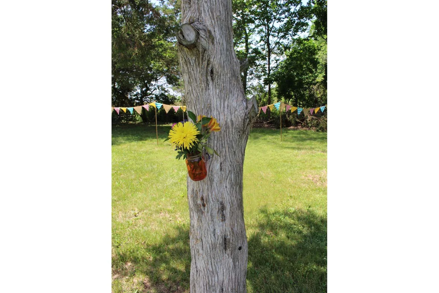 Banner_Tree_MasonJar_Flwrs_LR.jpg