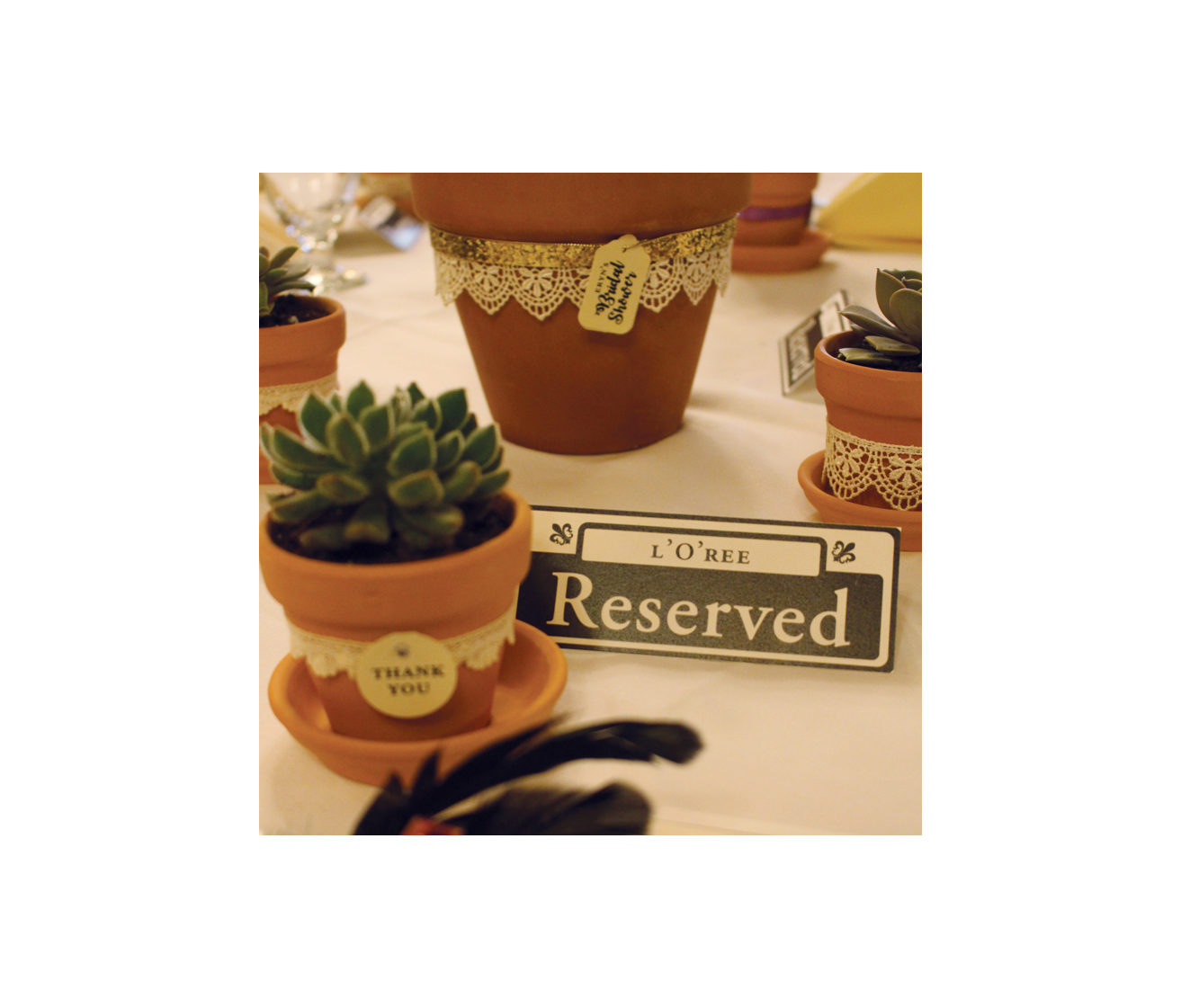 Favors, Reserved Card and Cedar Tree Centerpiece