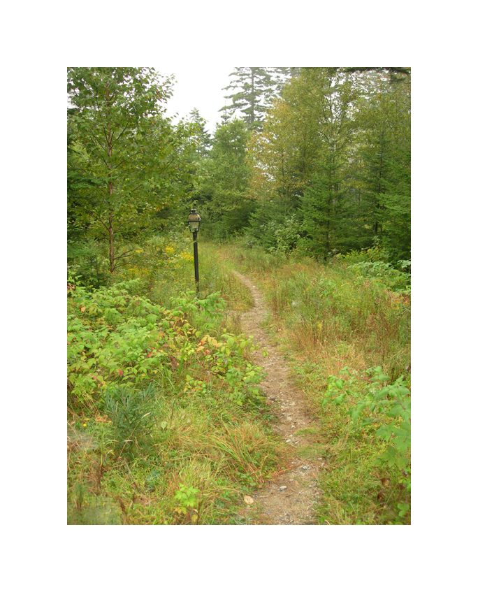 Pathway in the Woods_Lightpost_LR.jpg