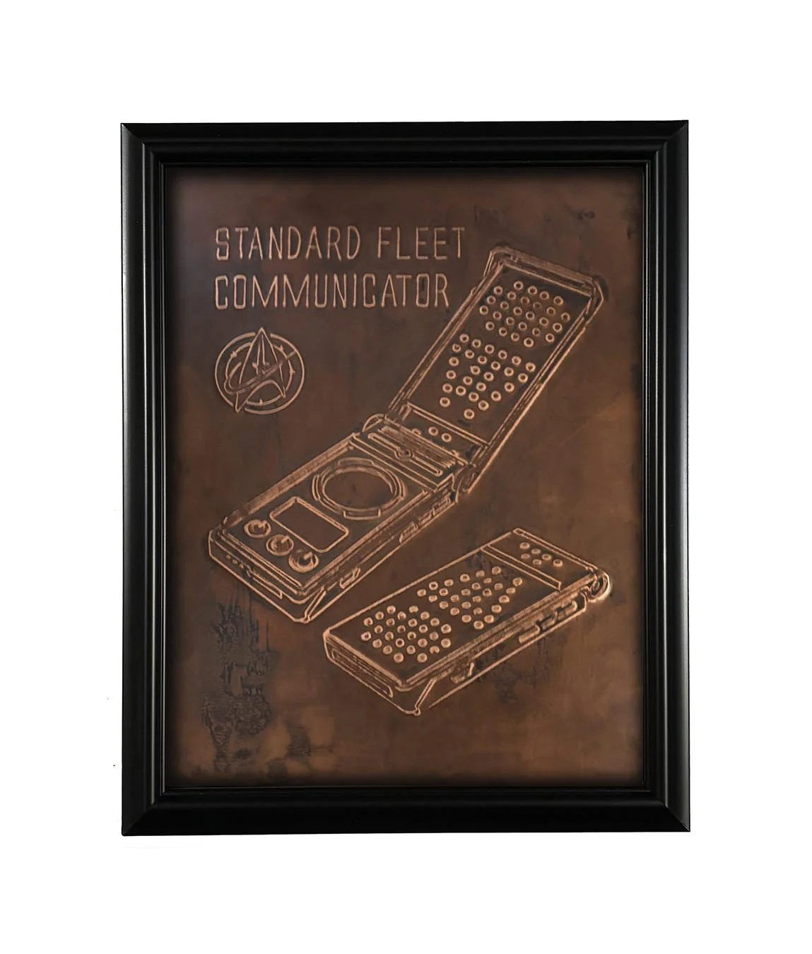 StarTrek_stnd issue communicator_8x10_F_TN.jpg
