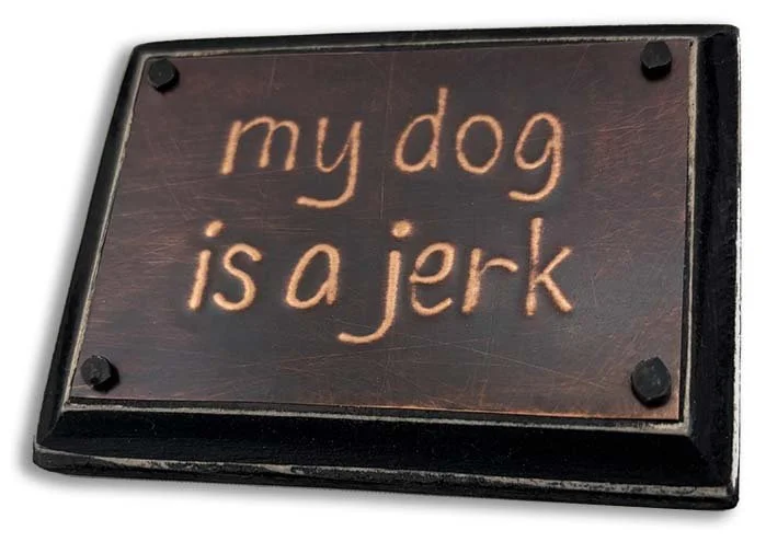 dog is a jerk_3x2_ang1_S.jpg