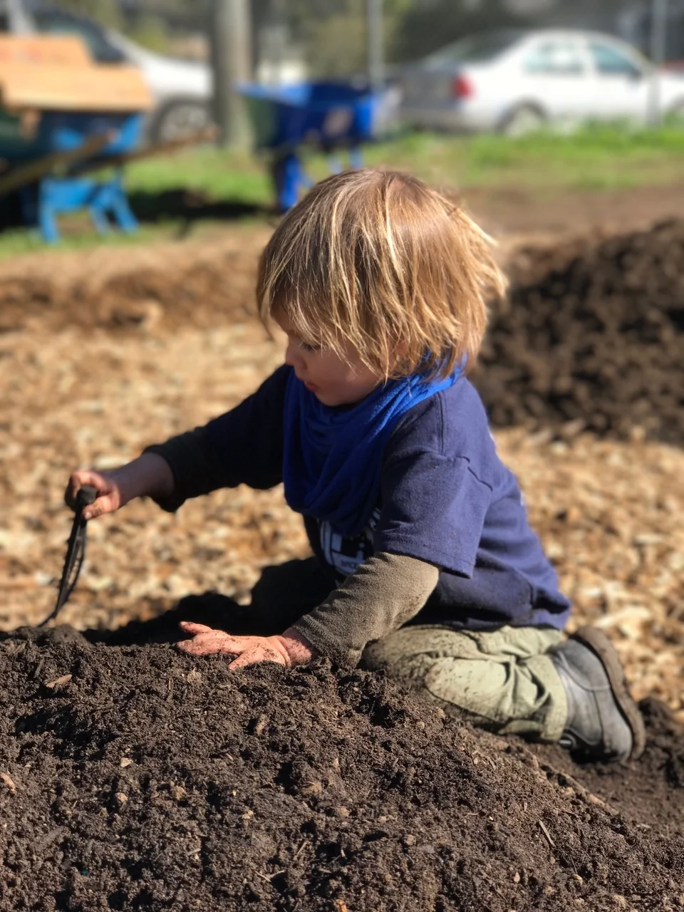 Experiential Gardens