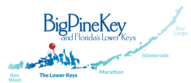 lower-keys-map.png