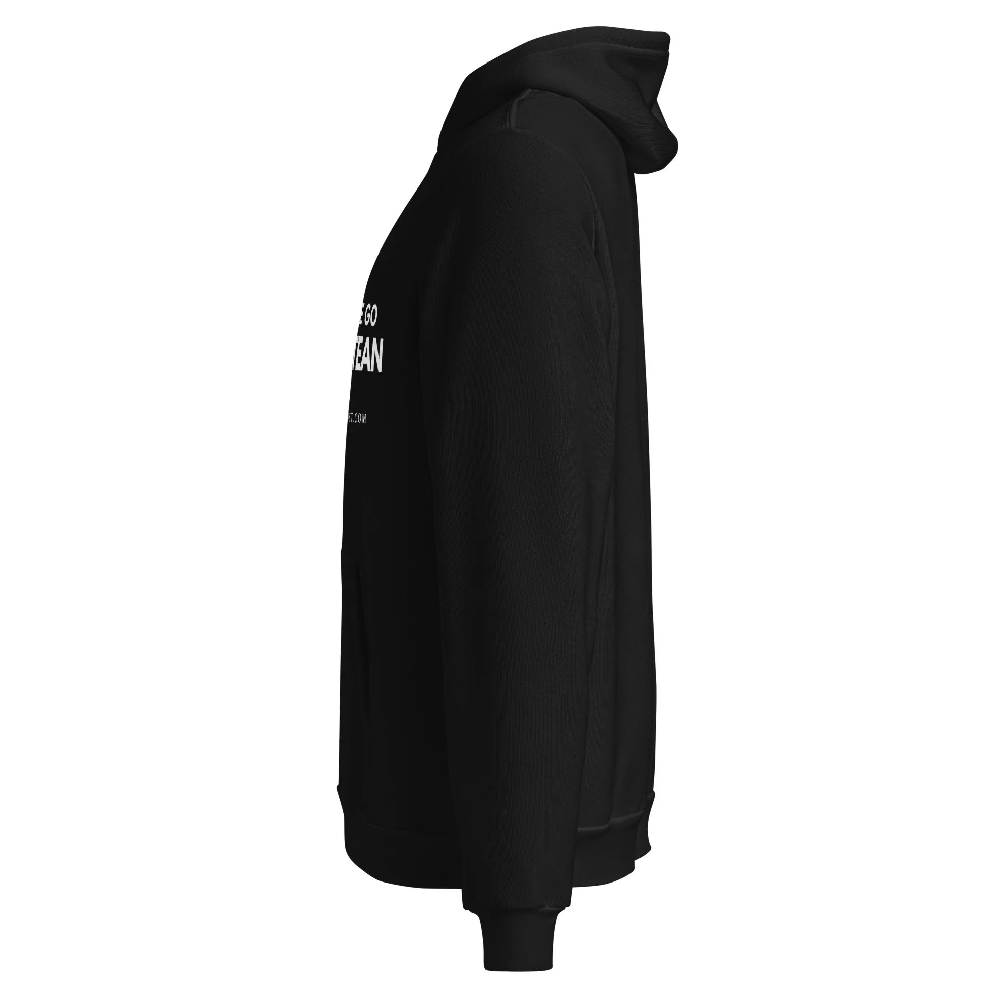 unisex-pullover-hoodie-black-left-6a404f2dacca9.jpg