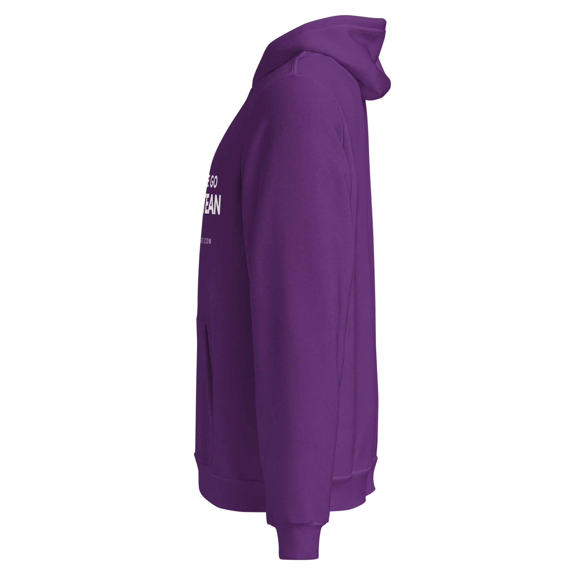unisex-pullover-hoodie-team-purple-left-6a404f2dacfdc.jpg