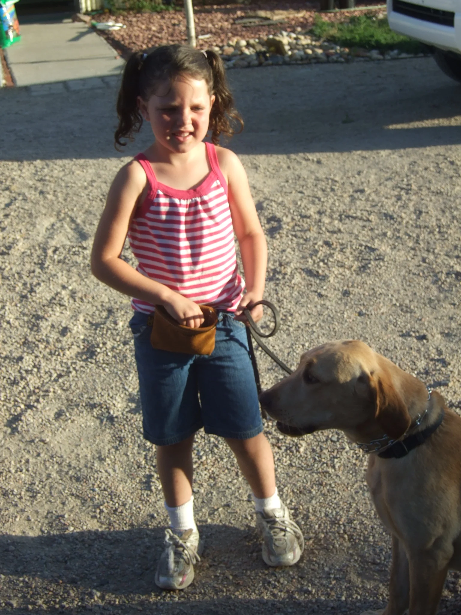 Junior obedience training