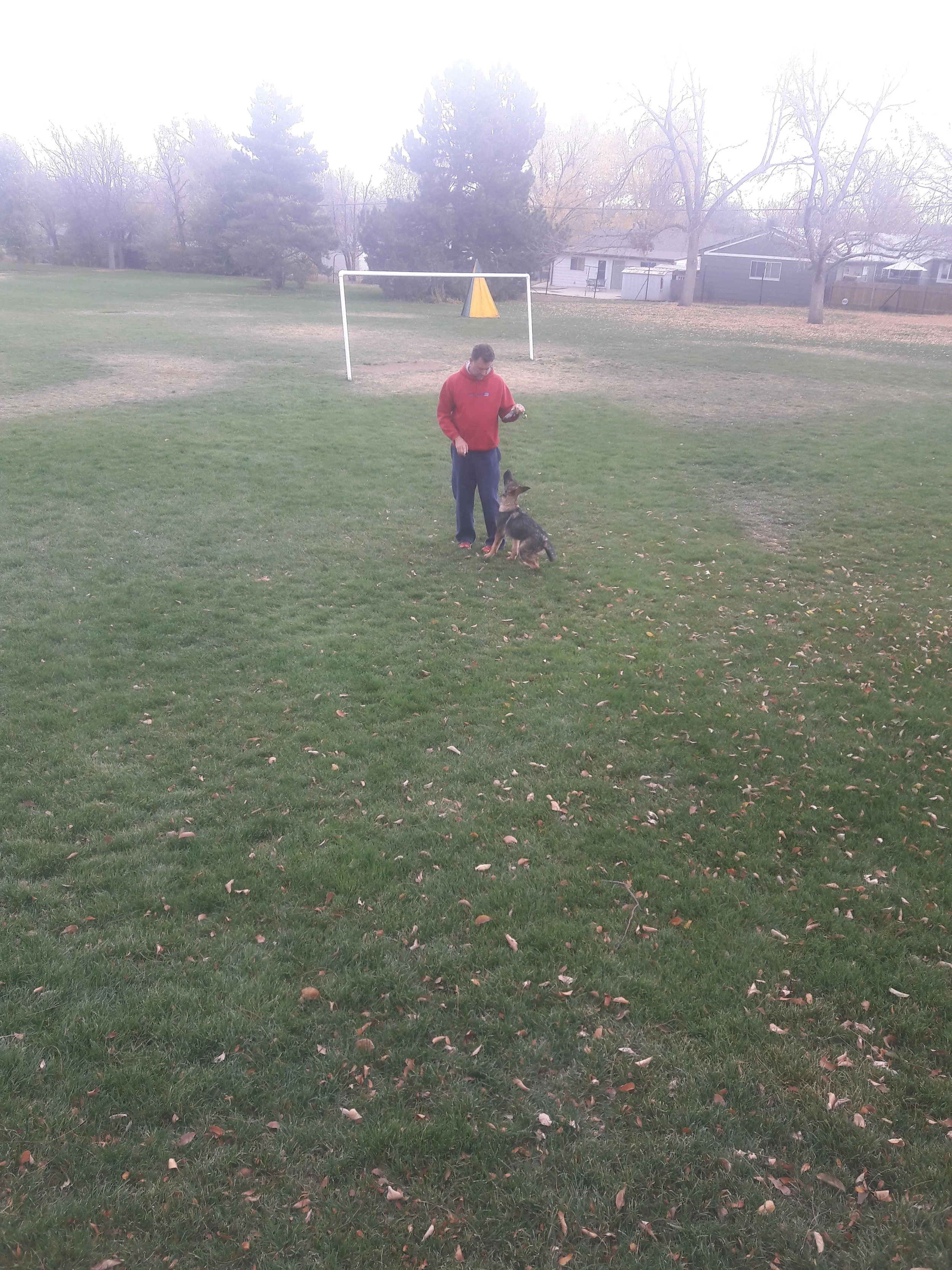 20161113_093459.jpg