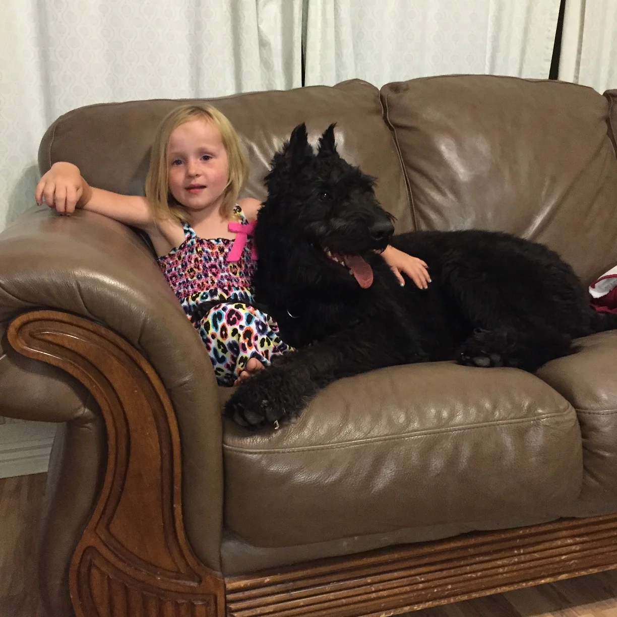 Family dog training.