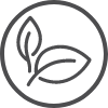 path icon eo basics.png