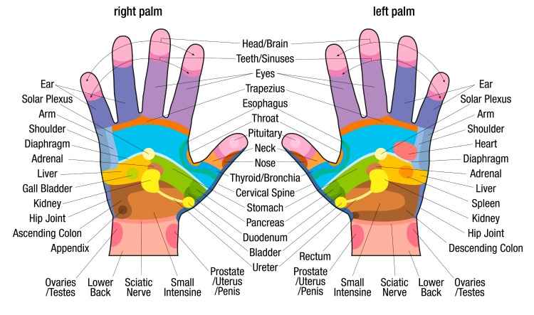 Vita Flex Hand Chart