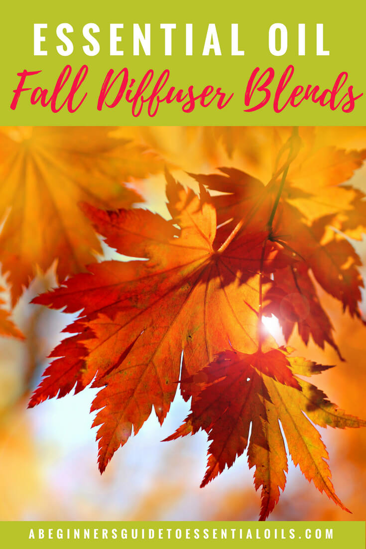 Don’t you just love autumn? The crisp air, the beautiful changing leaves, all those pumpkin flavored drinks. Now you can have that scent in your home too - with one of these fall essential oil diffuser blends. And, if you're not sure how to create a blend for your diffuser - I'll show you one simple method that will have you designing your own combinations in no time! 