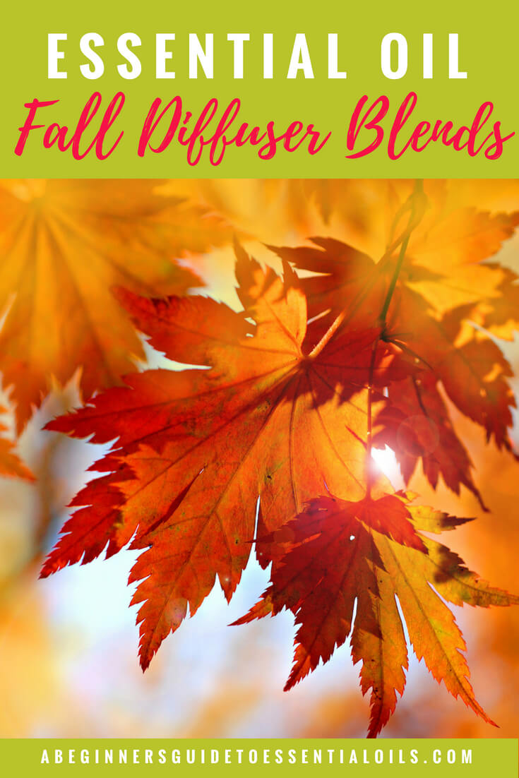  Don’t you just love autumn? The crisp air, the beautiful changing leaves, all those pumpkin flavored drinks. Now you can have that scent in your home too - with one of these fall essential oil diffuser blends. And, if you're not sure how to create a blend for your diffuser - I'll show you one simple method that will have you designing your own combinations in no time! 
