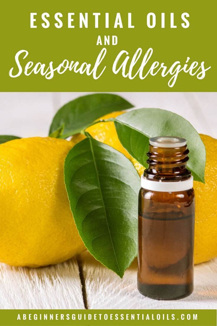 Seasonal allergies are no fun. Thankfully, you can use essential oils as a natural remedy for seasonal allergy relief. Find out how to use essential oils for seasonal allergies - reducing allergens with home care products and dealing with symptoms with a variety of methods. Find the best tips and methods and best essential oils for dealing with seasonal allergies.