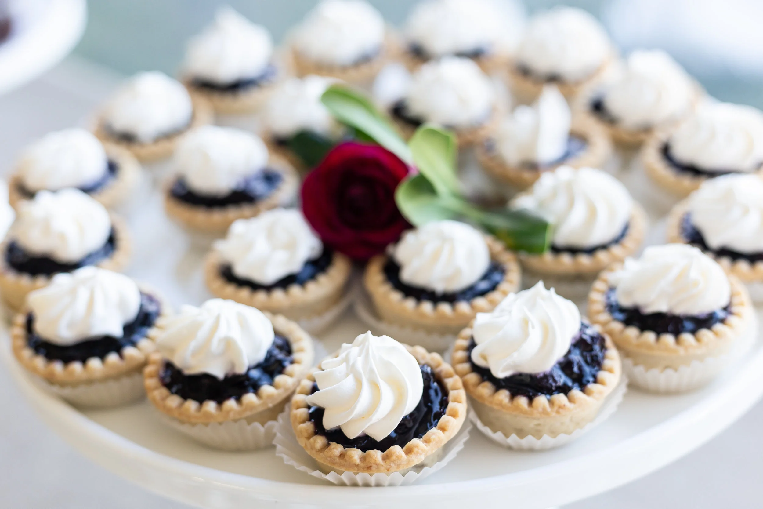 Visualsbyj.mckenzie_Leisal+William1281.jpg