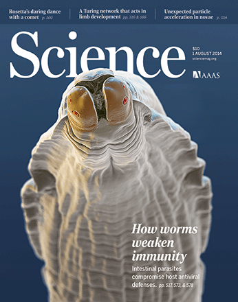 Cover of issue featuring herpesvirus-helminth co-infection work.