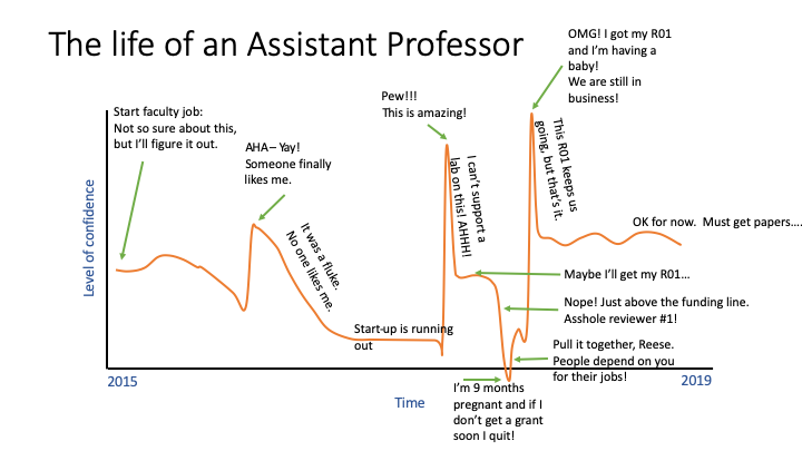 life of an assistant professor 4yr.png