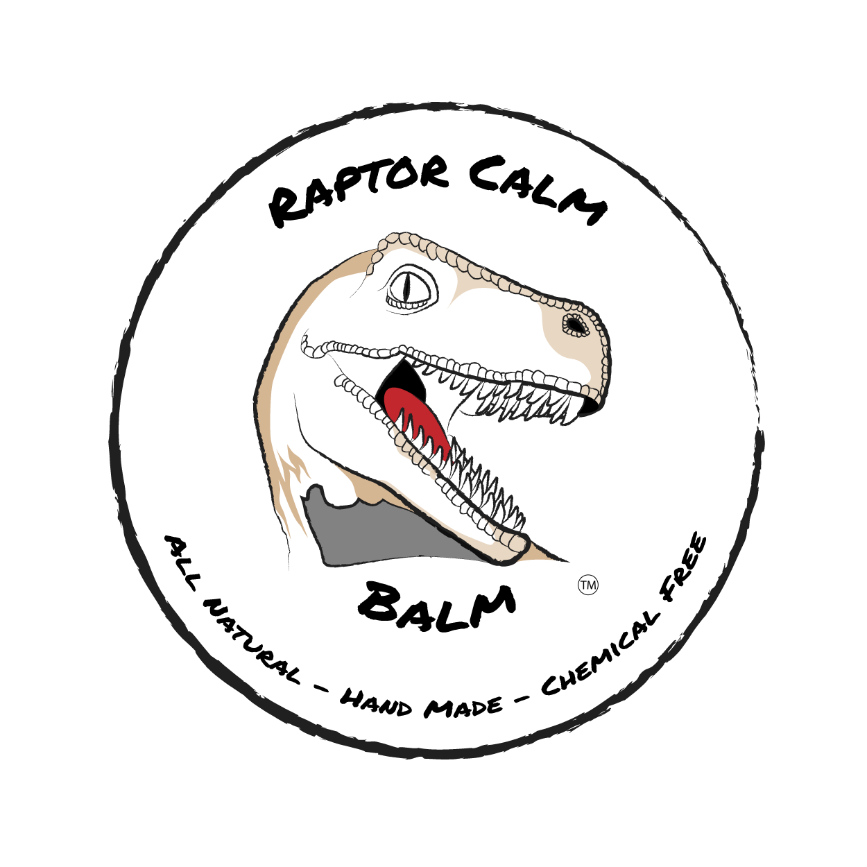 web images_Raptor web image.png