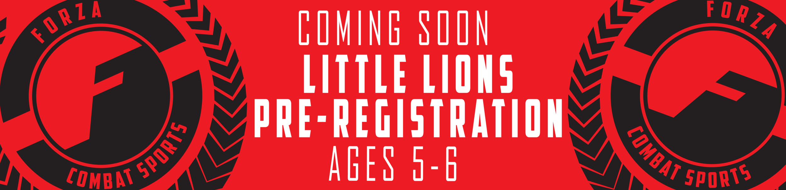 little lions banner_little lions banner.png