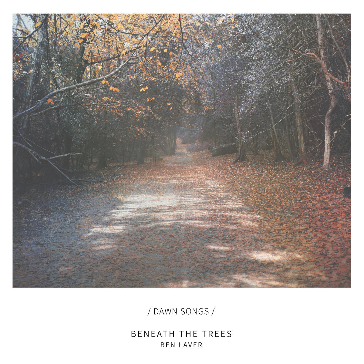 Ben Laver - Beneath The Trees