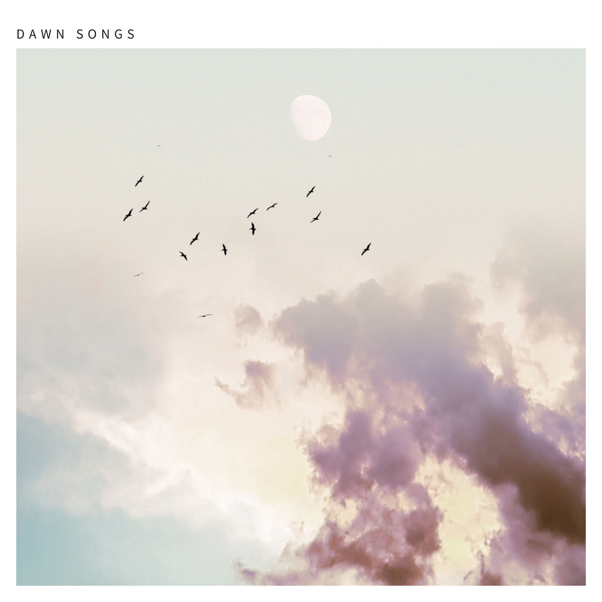 Ben Lave - Dawn Songs
