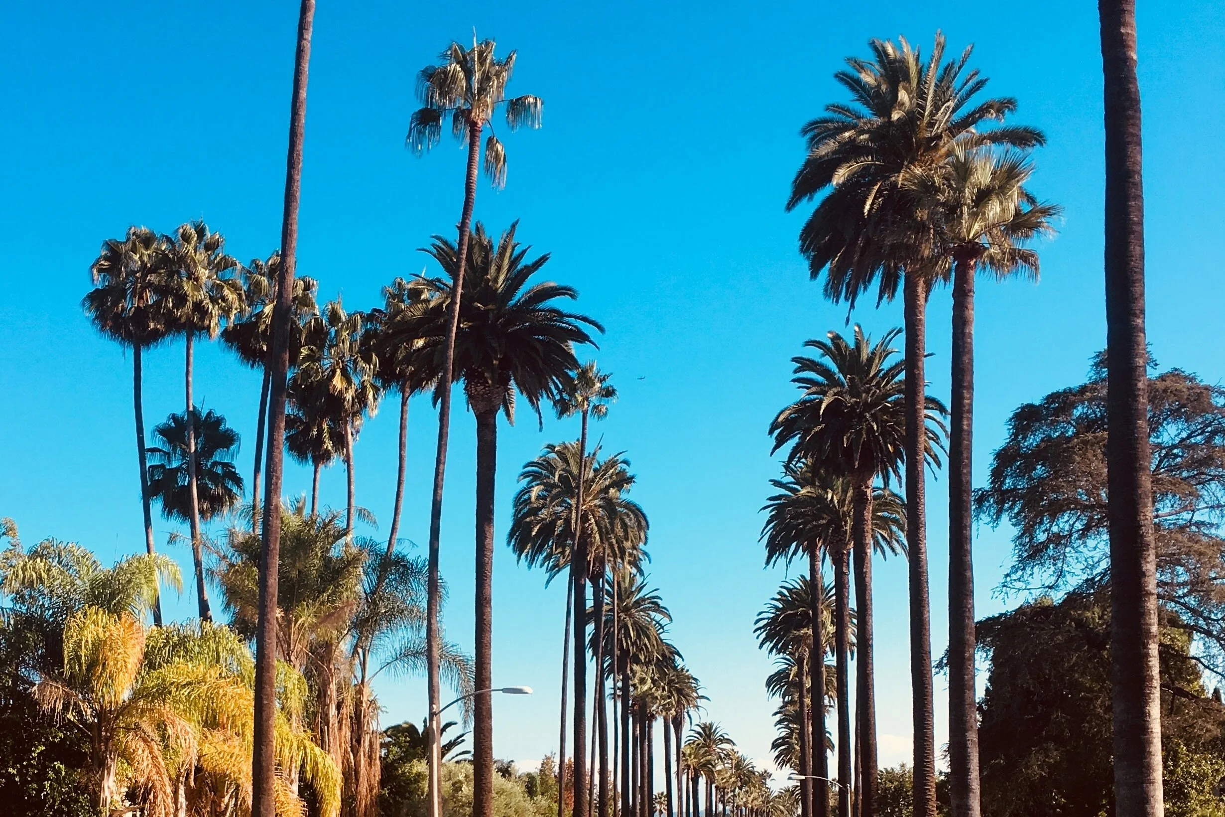 If you care about racial equality, this will disturb you