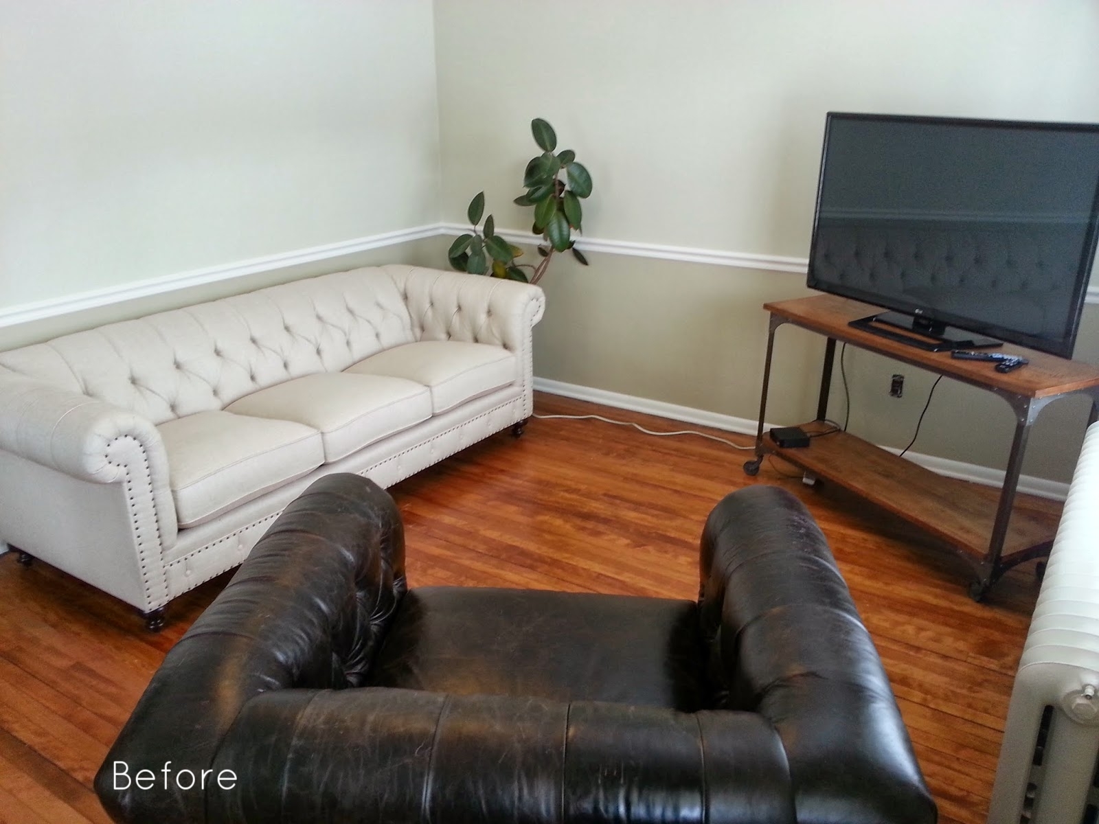 Blog 1 Before Image.jpg