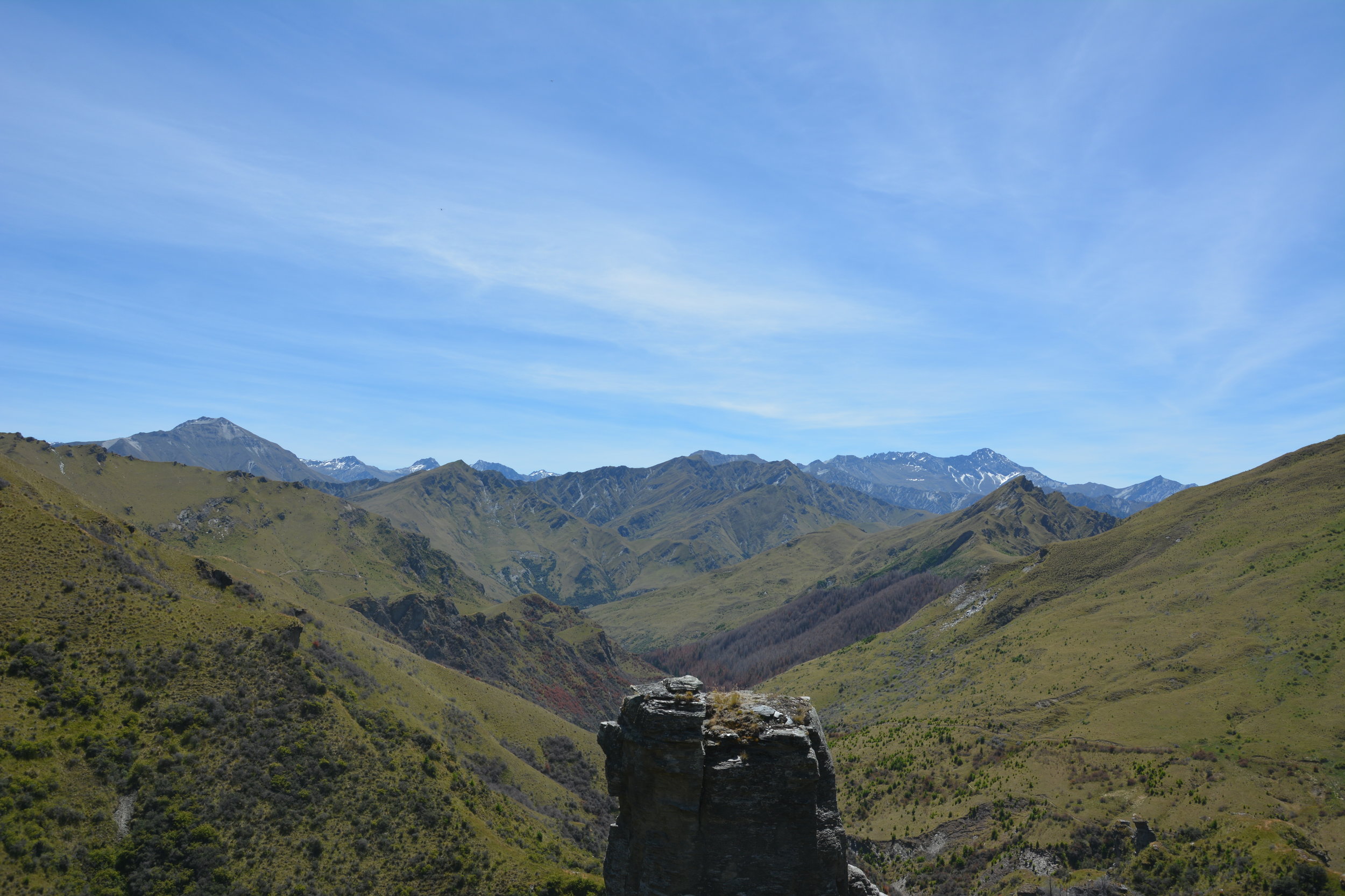 DSC_3652.JPG