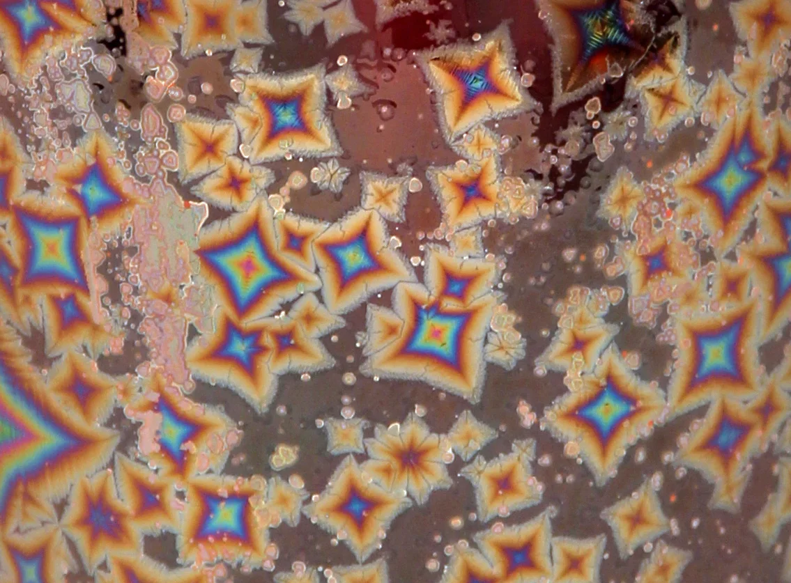 7254_molydetail_web.jpg