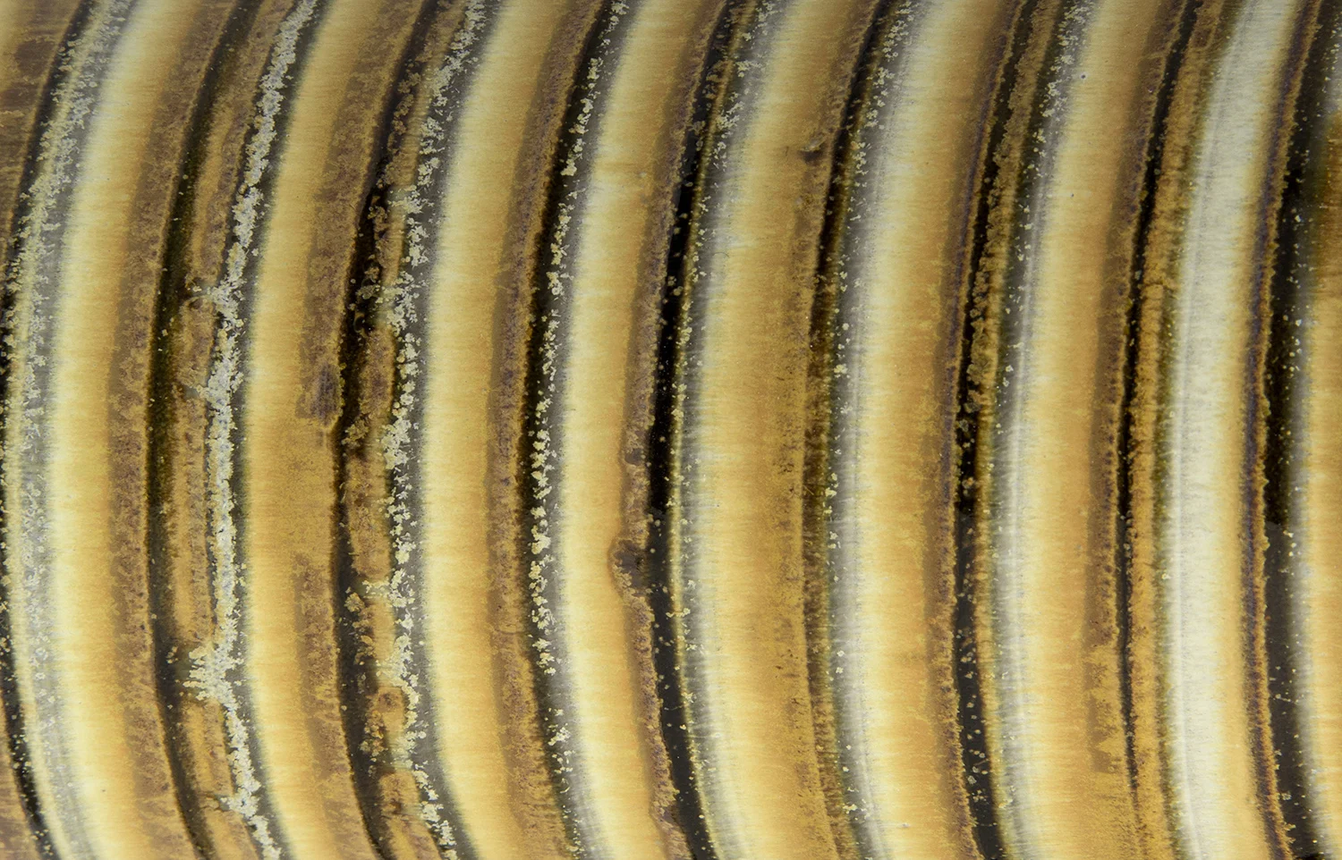 1847_header_connect.jpg