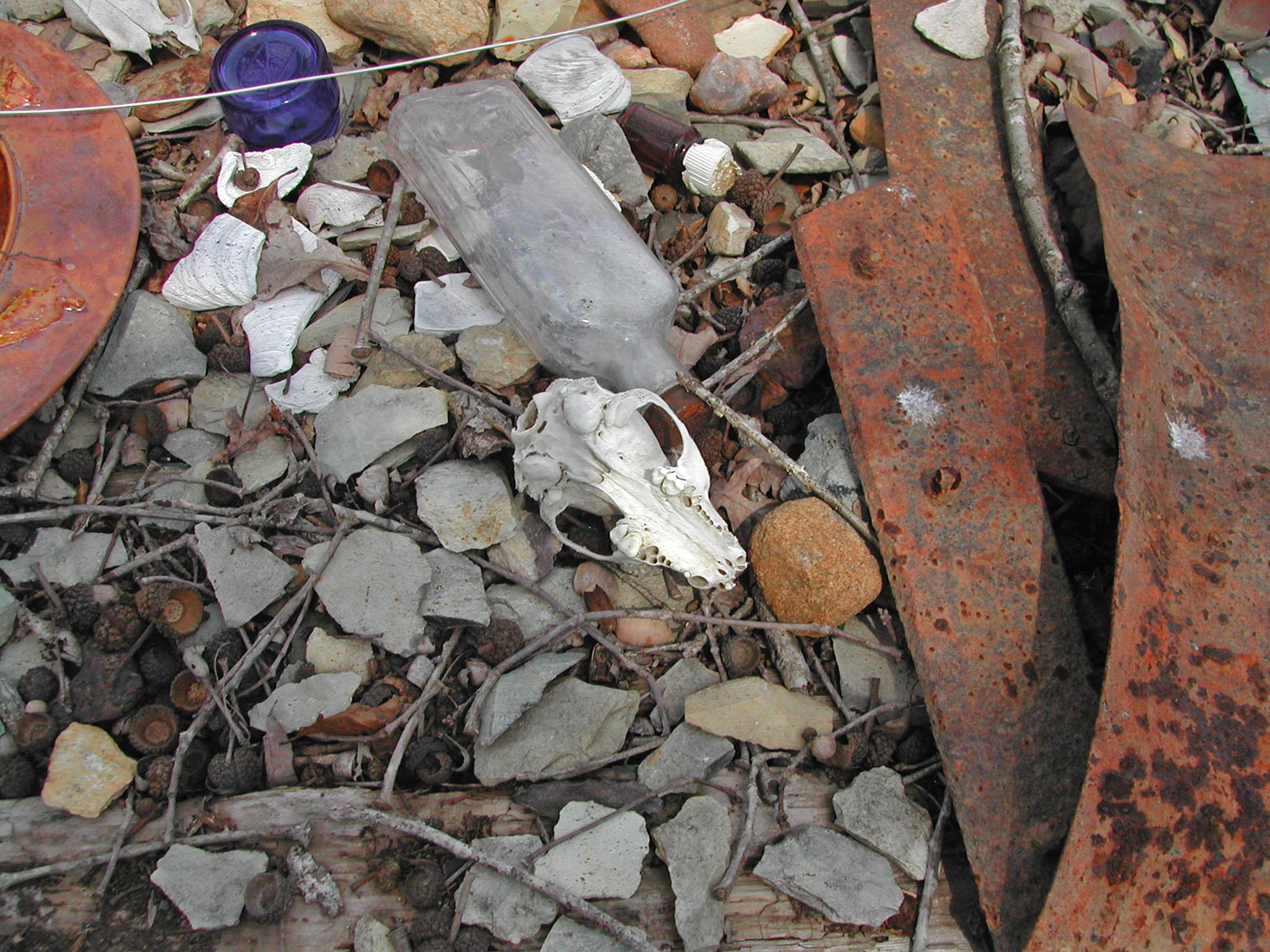 Finds from my walks | Bruce Gholson | Bulldog Pottery | Seagrove | North Carolina