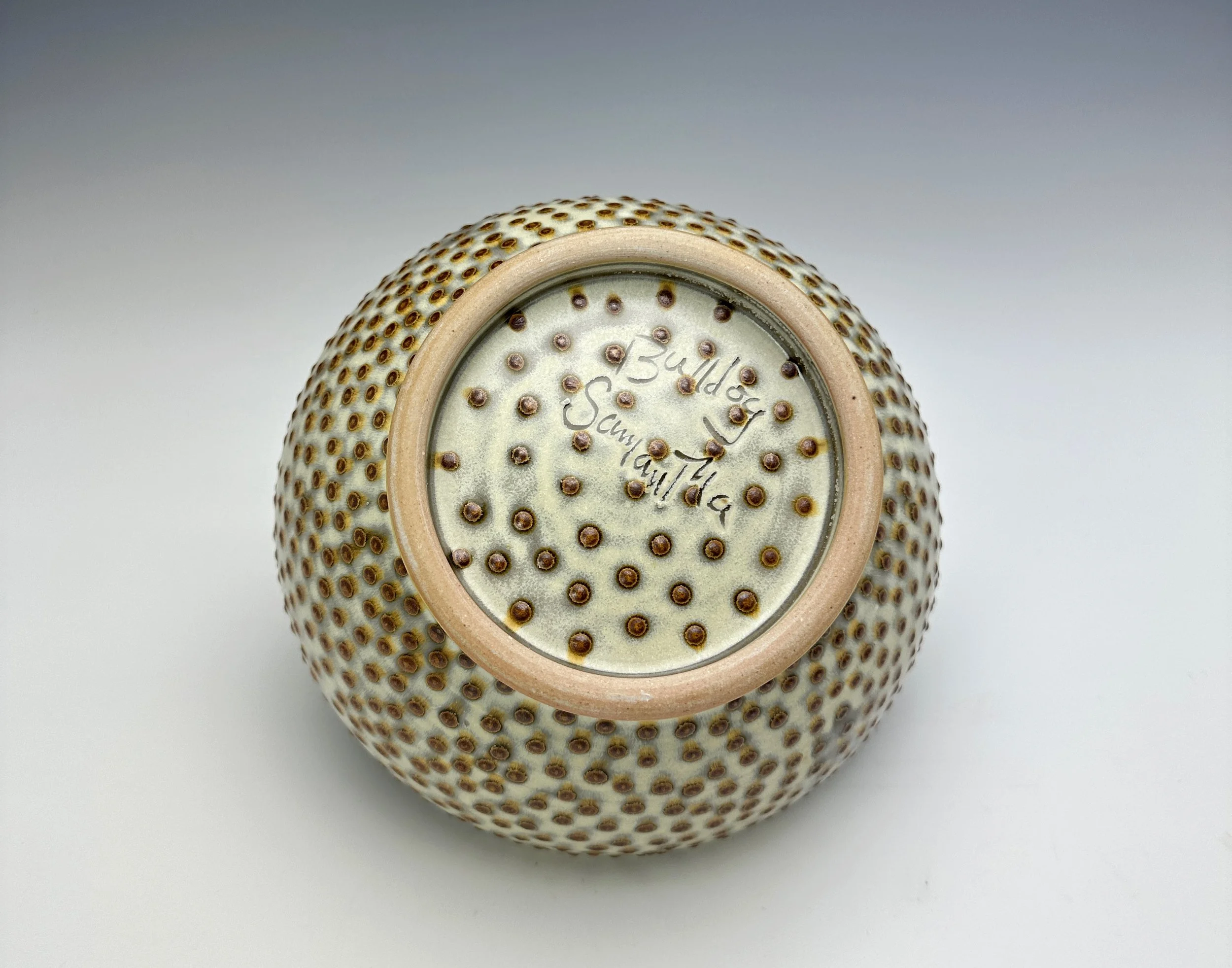 Ramen Bowl 2b_1092.JPEG