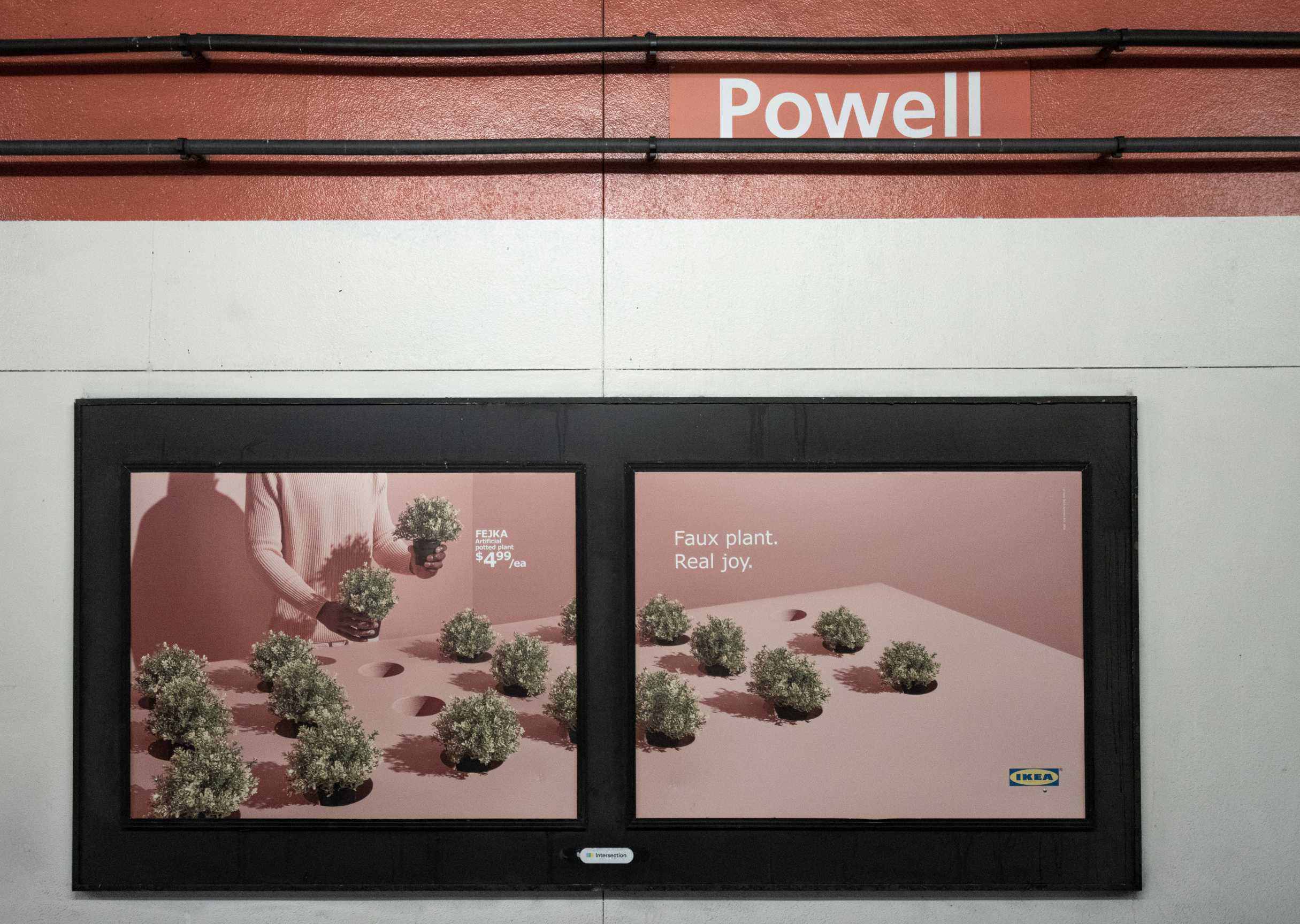 Screen Shot 2020-02-04 at 4.14.03 PM.png