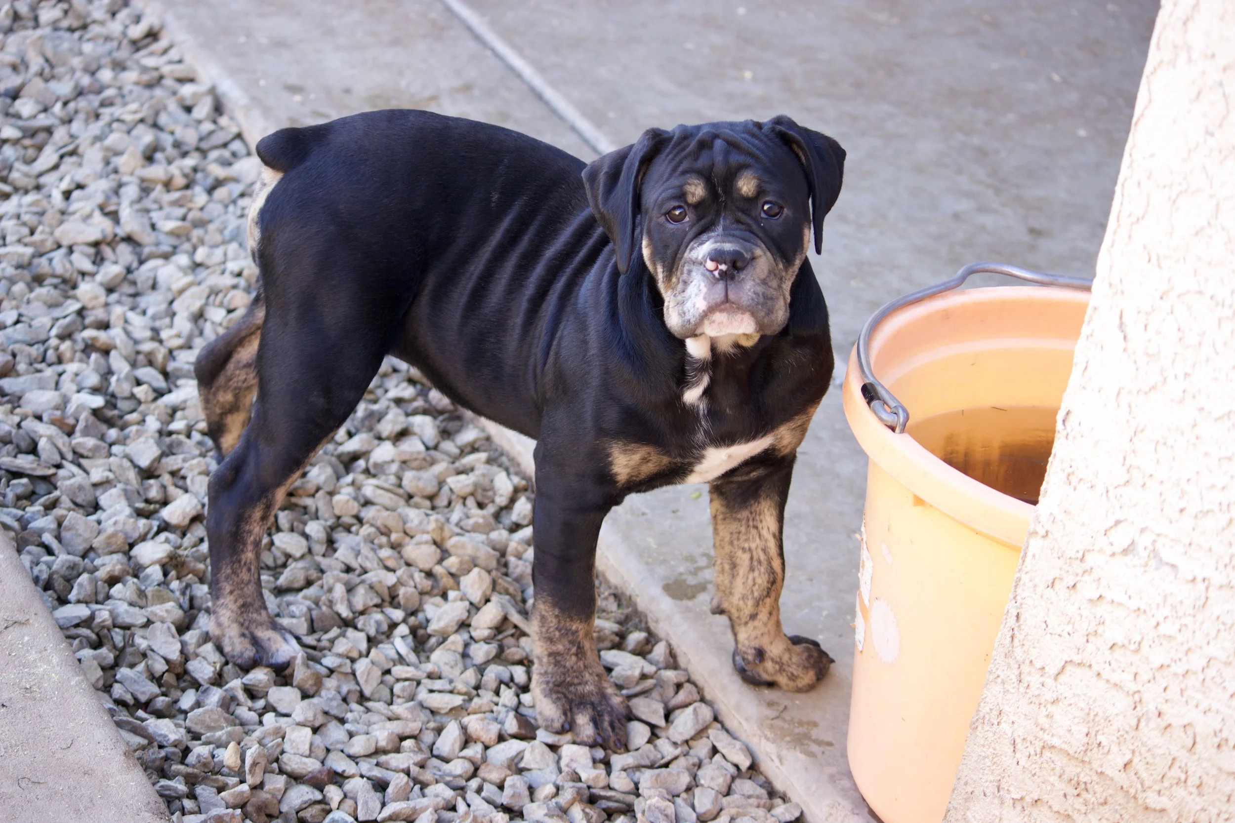 Adopted- residing in Evansville, Indiana.