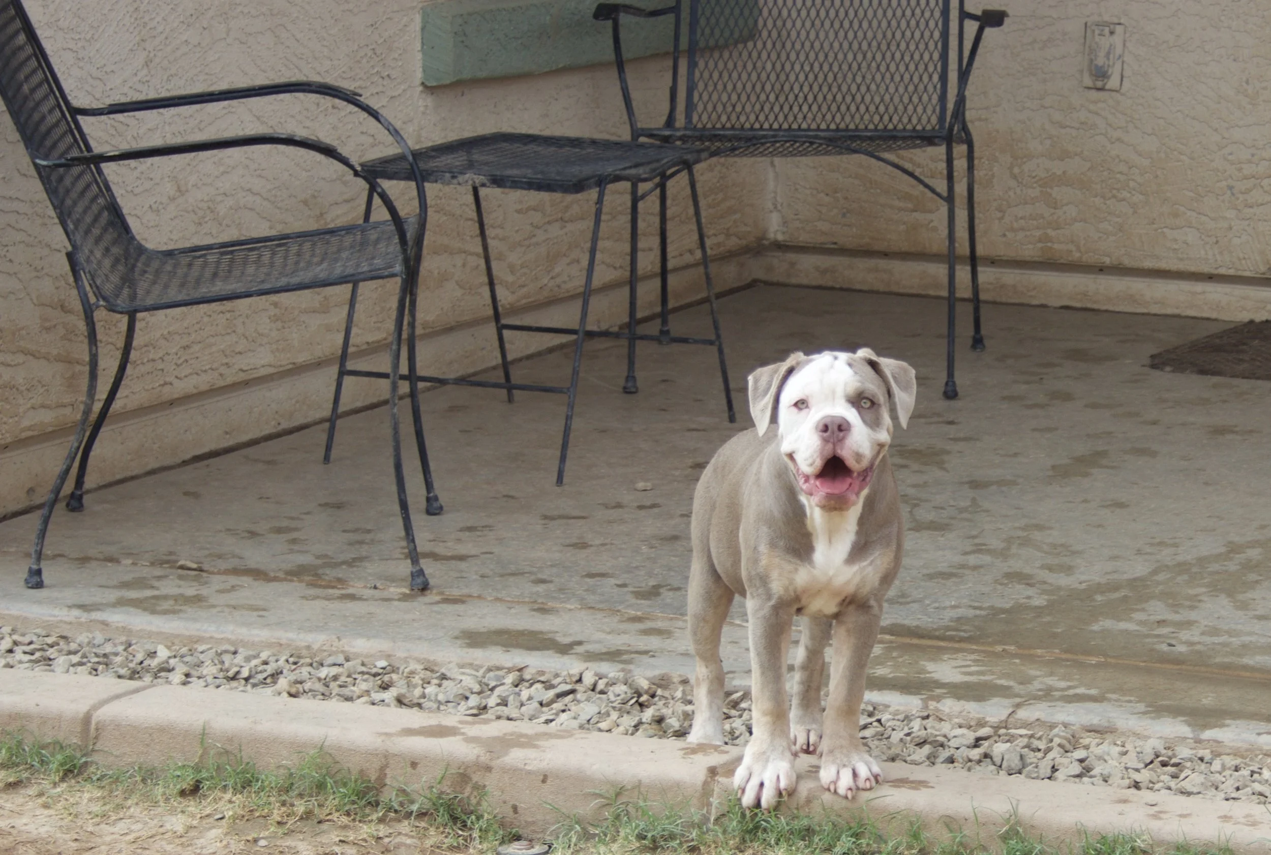 Adopted, Residing in San Tan Valley, AZ.