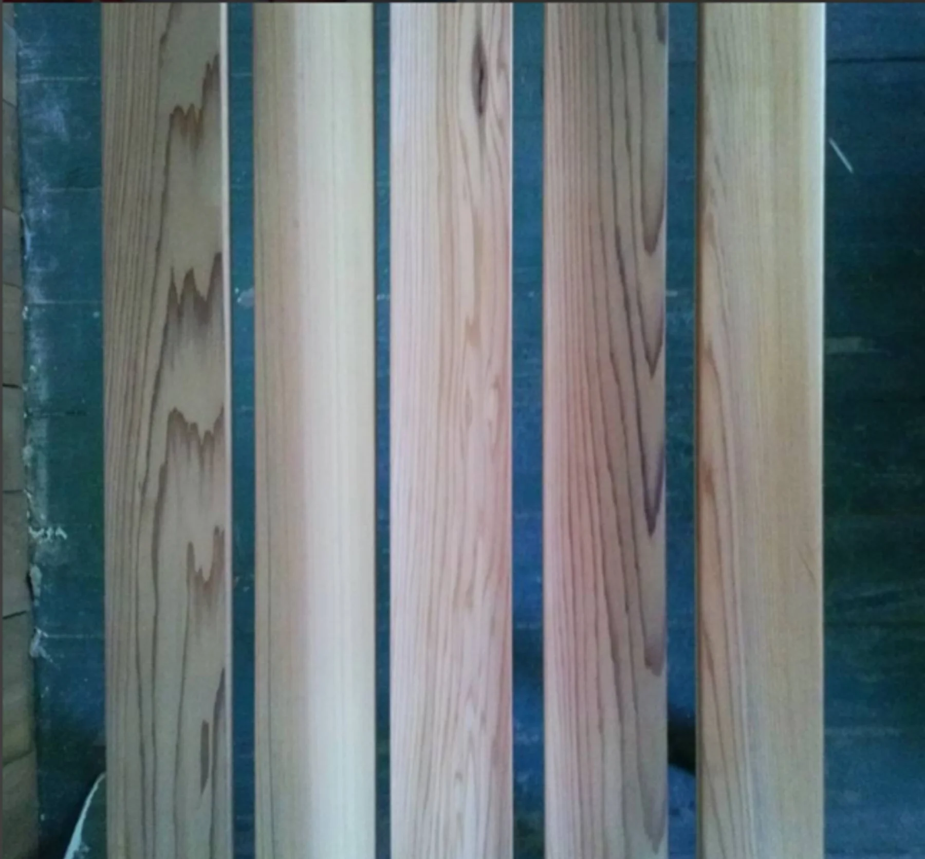 cedar rainbows.jpg