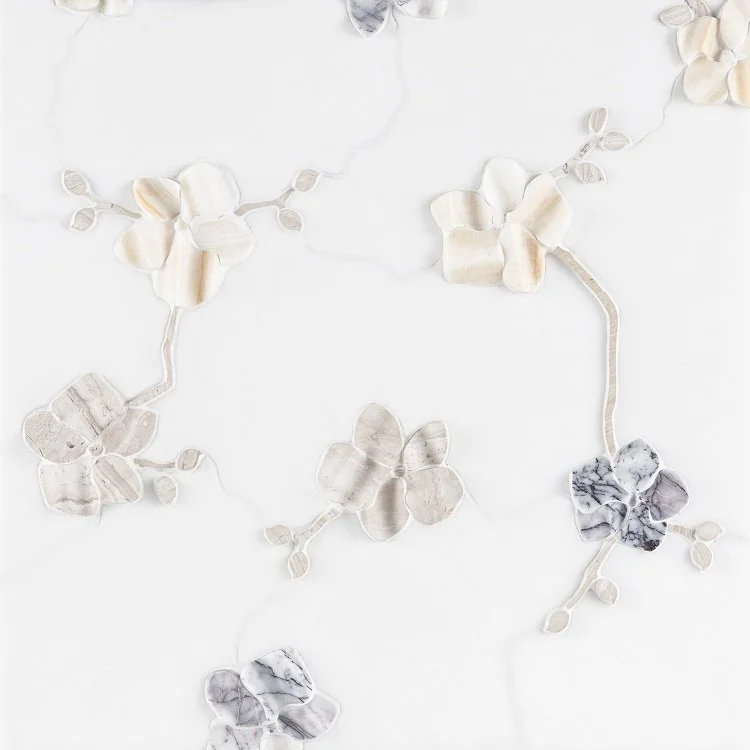 EP Orchid Dim. Thassos.jpg