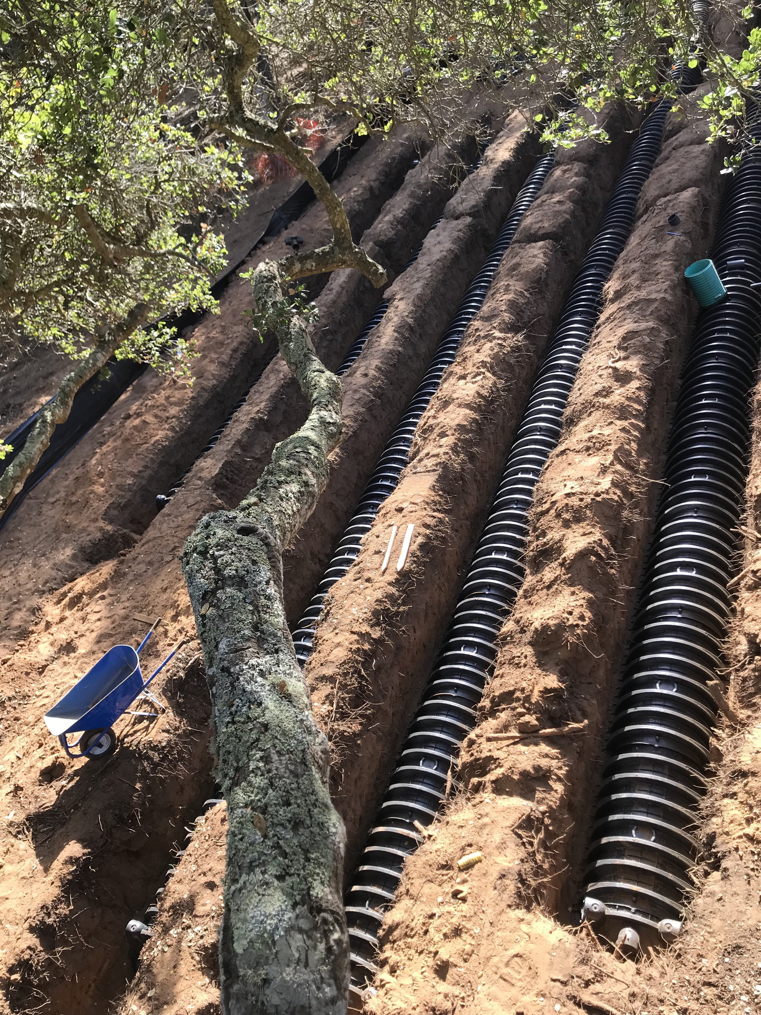 Infiltrators Install in Elkhorn 