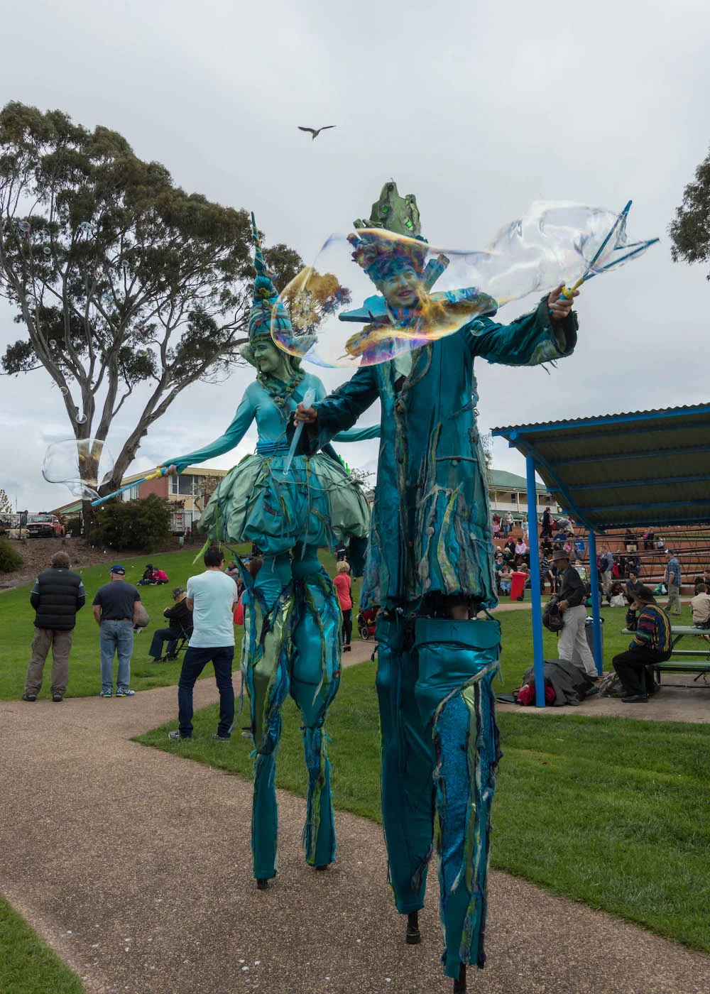 Tulip Festival 2014 2 024.jpg