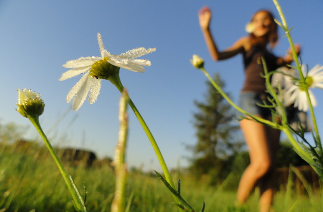 Dancing-in-a-Field-of-Flowers.png