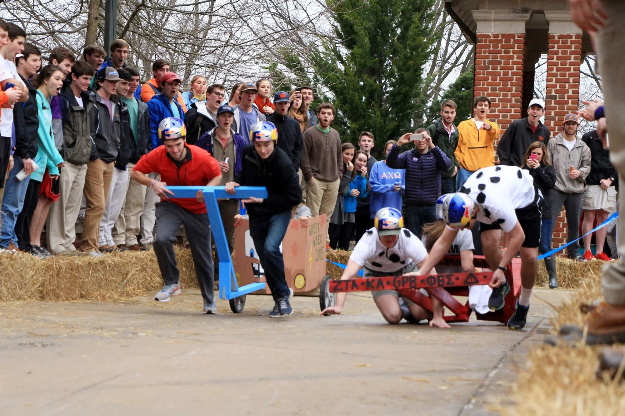 14.JPG