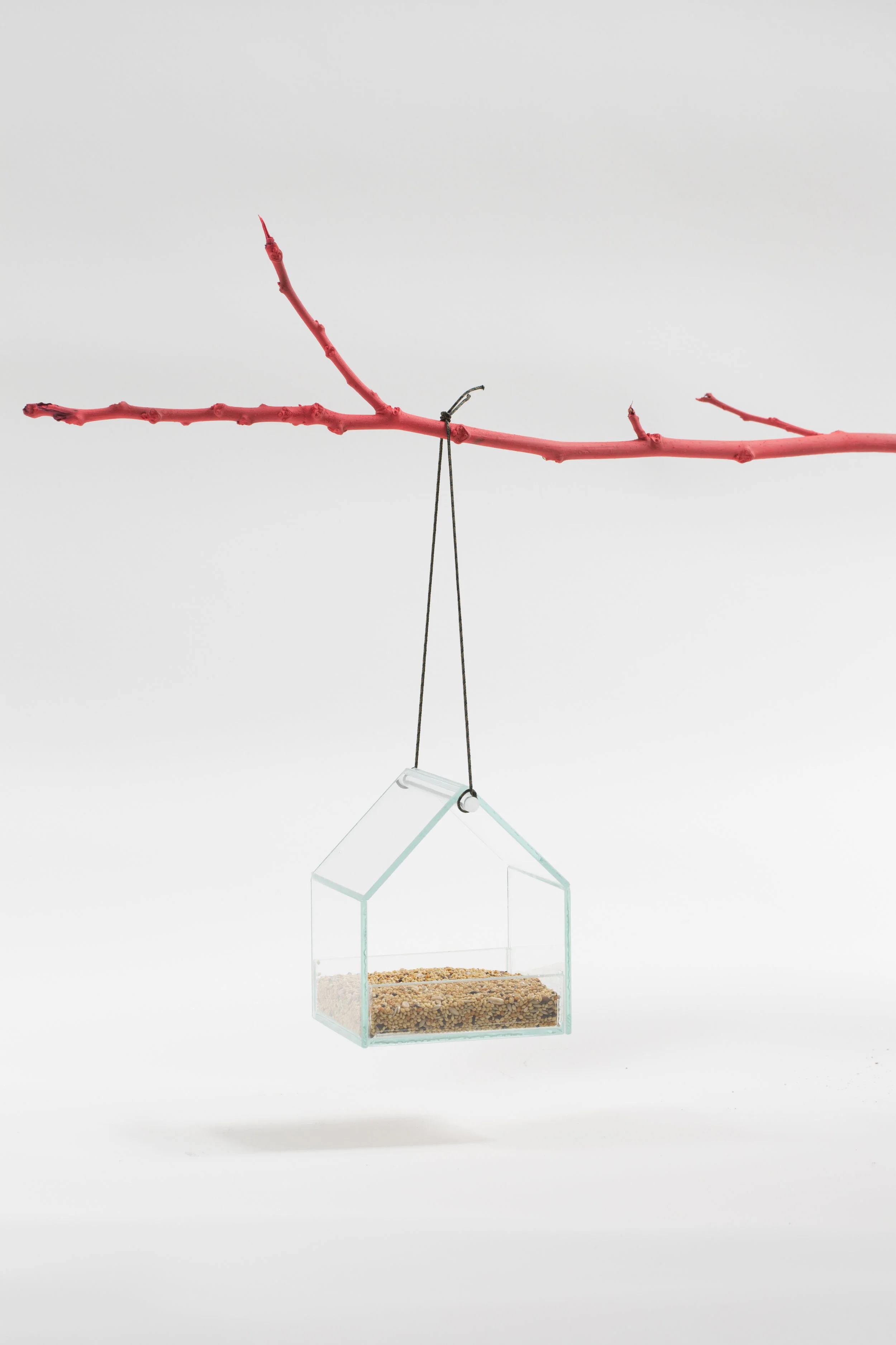 small w seeds_w branch .jpg