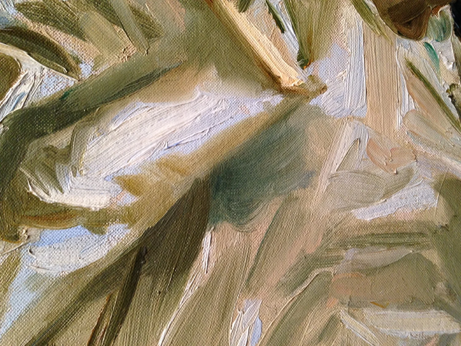  Image taken by M. Hayes 