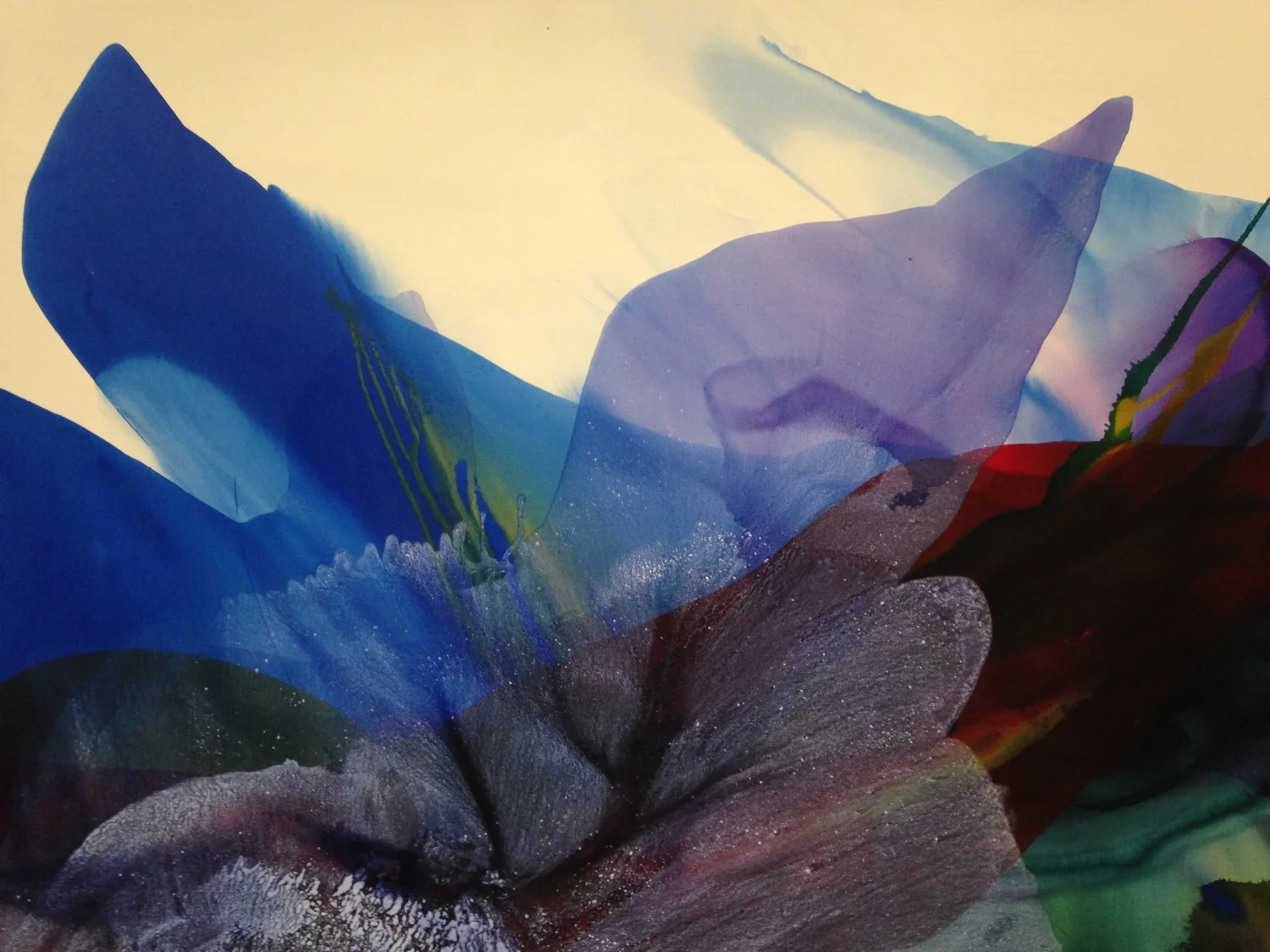  Image taken by M. Hayes 